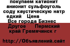 покупаем катионит анионит сульфоуголь соду каустическую натр едкий › Цена ­ 150 000 - Все города Бизнес » Другое   . Пермский край,Гремячинск г.